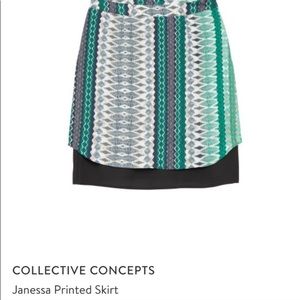 Collecting Concepts Green Skirt